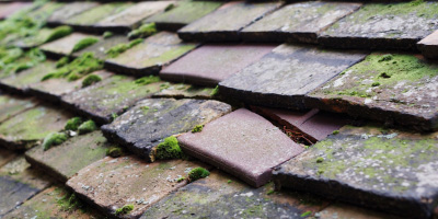 Hoaldalbert roof repair costs